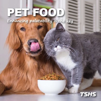 Automated Seasoning Equipment for Pet Food Production